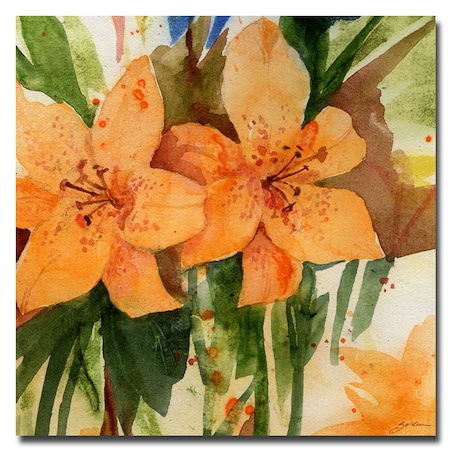Sheila Golden 'Tiger Lilies' Canvas Art,18x18